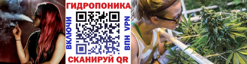 Где купить Ивантеевка Канабис omg ТОР COCAIN Alpha-PVP ГАШ МЕФ