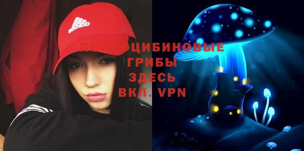 амф Абдулино