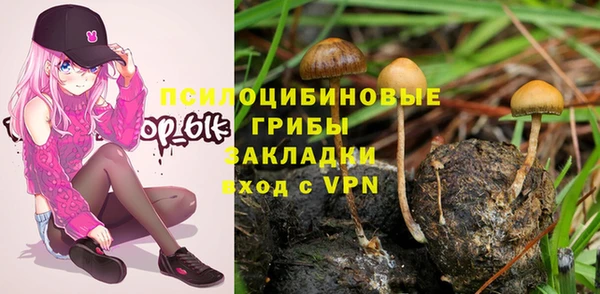 spice Абаза