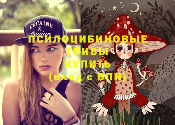 амф Абдулино