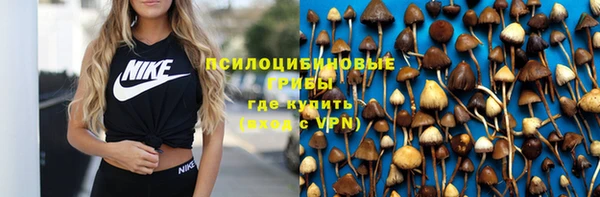 амф Абдулино