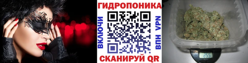 Каннабис сатива  продажа наркотиков  Ивантеевка 